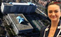 Akla ziyan sorular! 150 kişinin fotoğrafını gösterip ‘Tanıyor musun’ dediler
