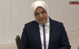 AKP'li vekilin doğum oranıyla ilgili açıklamasına muhalefetten tepki