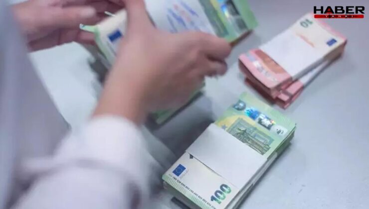 Almanya'daki 2 Milyon Euro'luk suç trafiğinin ucu Türkiye'ye uzandı