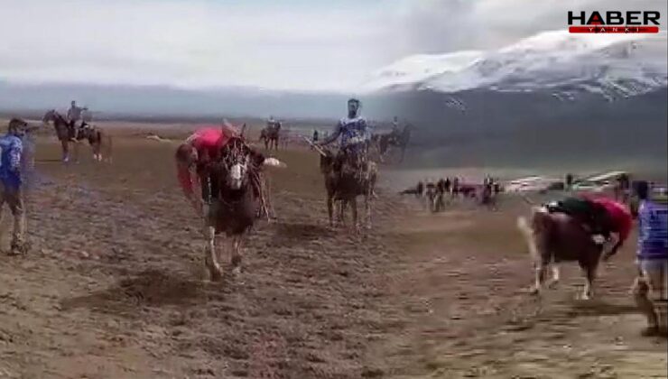 At üstünde kalp krizi geçiren kişi öldü