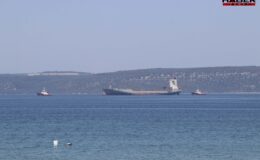 Çanakkale Boğazı'nda konteyner gemisi arızalandı