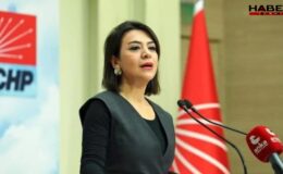 CHP’li Taşcıer'den 'normal doğum pankartı'na tepki