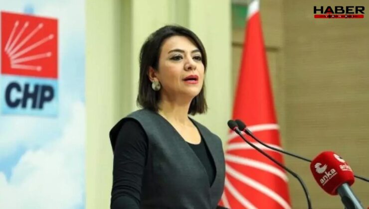 CHP’li Taşcıer'den 'normal doğum pankartı'na tepki