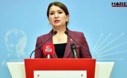CHP'li Gökçen, İzmir'deki öğretmenin atamasının iptalini Meclis gündemine taşıdı