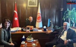 DEM Parti'den açıklama: 'Başarıyla atlattı…'
