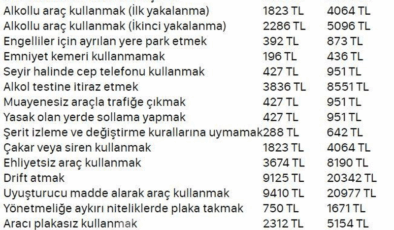 Trafik Cezaları: Yeni Düzenlemeler ve Caydırıcı Önlemler