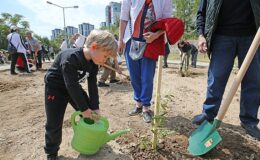 Karşıyaka’da zeytin fidanları toprakla buluştu