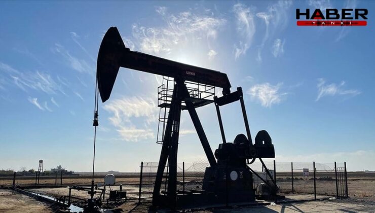 OPEC’ten çifte düşüş: Hem üretim azaldı hem talep tahmini geriledi