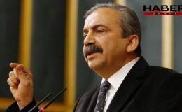 Sırrı Süreyya Önder'le ilgili yeni gelişmeyi kardeşi duyurdu