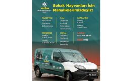 “Vetbak” patili dostların yanında olmaya devam ediyor