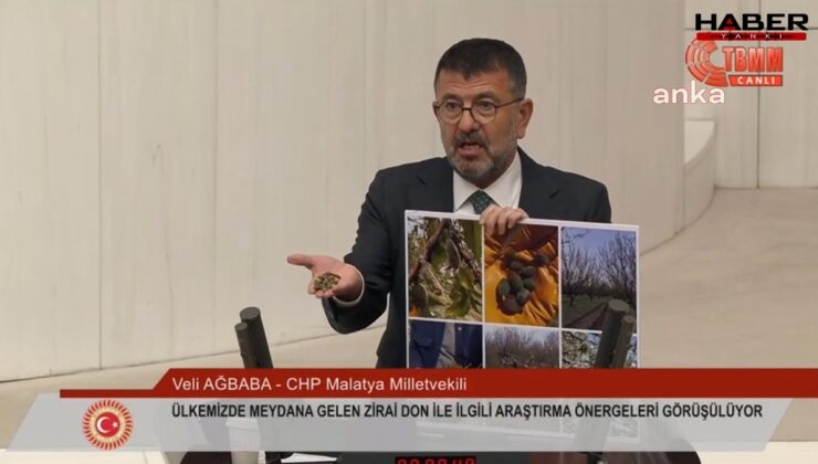 Zirai don felaketi Meclis gündeminde! Veli Ağbaba: 'Her ilden çığlıklar yükseliyor, her evden ağıtlar yakılıyor.'