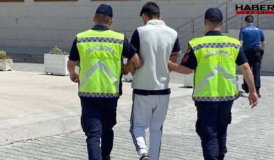 17 yaşında kendisini 'kamu görevlisi' olarak tanıttı: Altın, gümüş, dolar ne varsa aldı