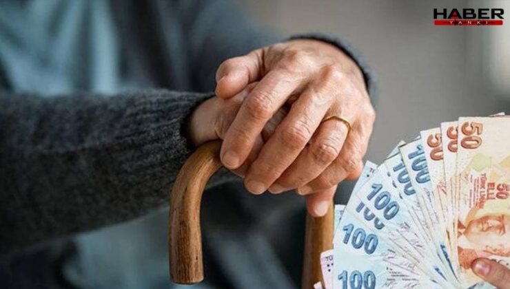 Belediye resmen açıkladı! Artık emeklilere ücretsiz