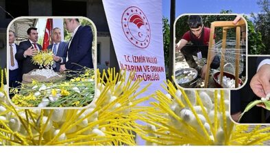 Beydağ’da Kozalar İpek Açtı