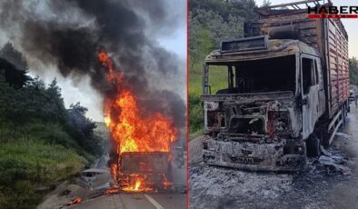Bursa'da alev alan kamyon demir yığınına döndü