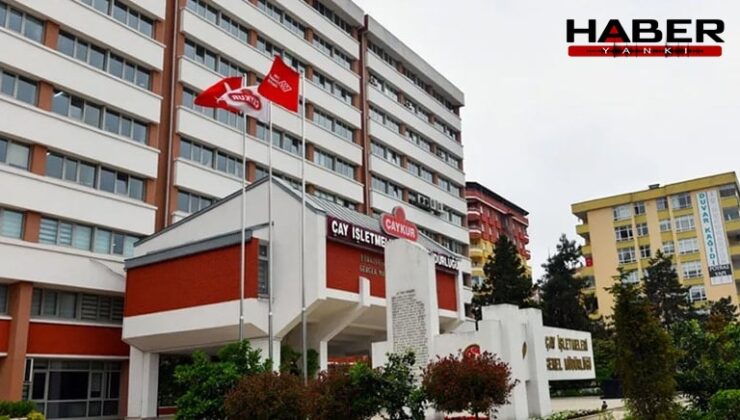 ÇAYKUR'un mevsimlik işçi alımı için 28 bin başvuru