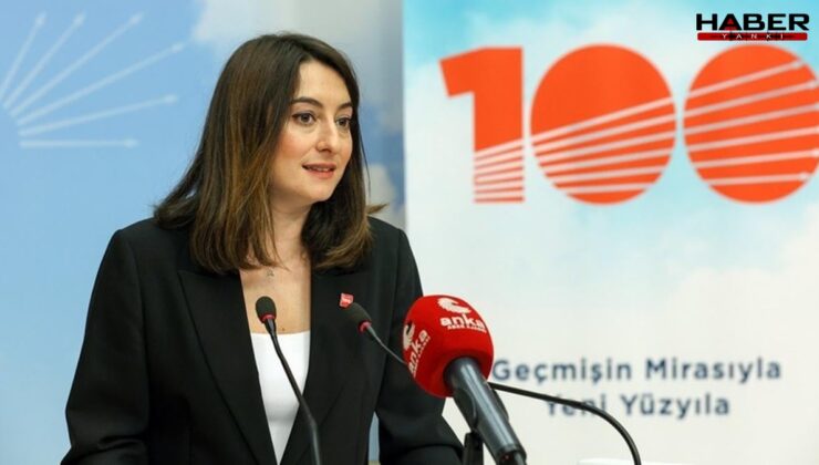 CHP'li Aysu Bankoğlu: "Devlet gençleri hapse atan intikamcı bir yönetime dönüştü"