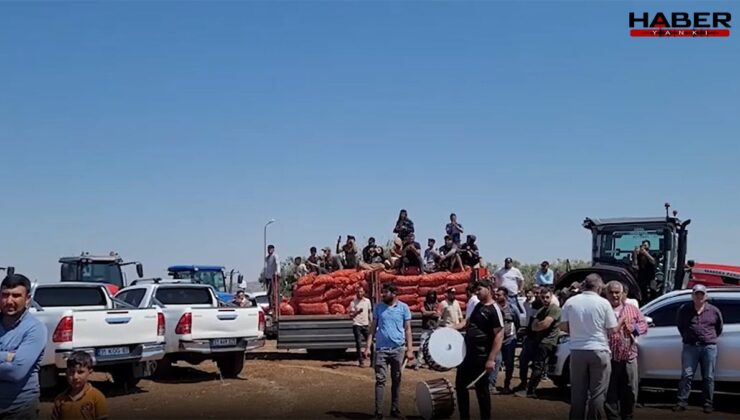 Çiftçiler ürünlerini dökerek iktidarı protesto etti