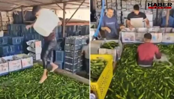 Çıplak ayakla salatalık havuzuna daldı