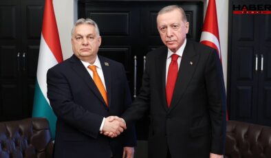 Cumhurbaşkanı Erdoğan, Viktor Orban'la görüştü