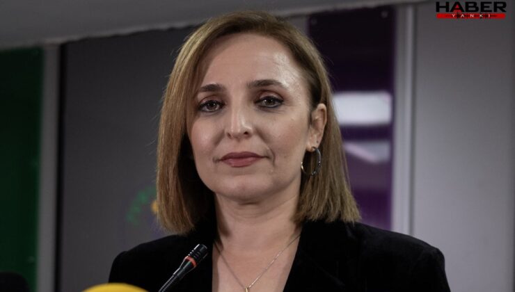 DEM'den dikkat çeken 'yeni Anayasa' çıkışı