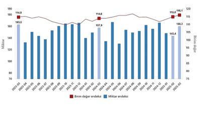 Dış Ticaret Endeksleri, Mart 2025