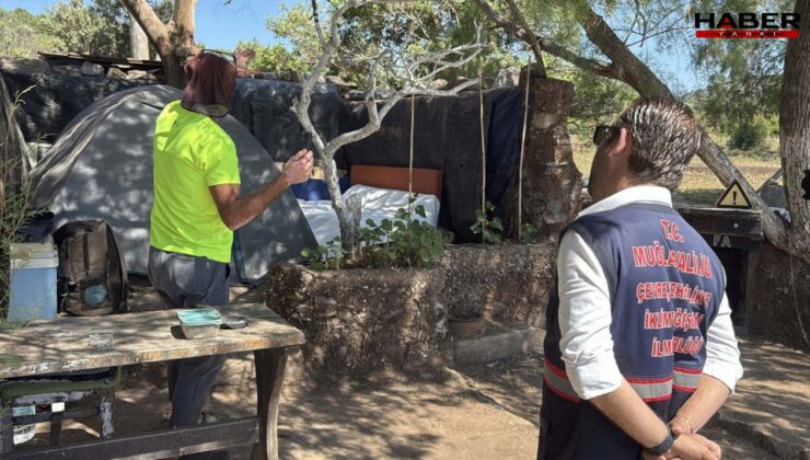 Doğal sit alanına kaçak yapı yaptı, kamp yapıyorum dedi