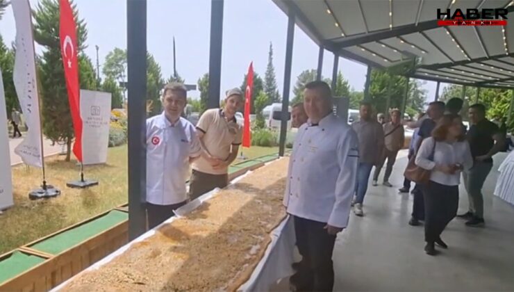 Dünya rekoru için kolları sıvadılar: 12 metre uzunluğunda ballı, cevizli, tahinli pide