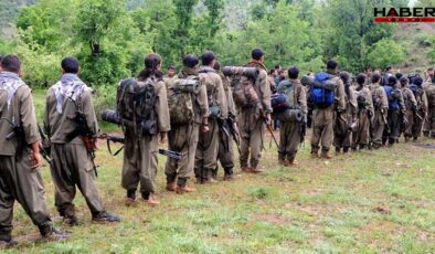 Erdoğan'ın eski başdanışmanı: PKK yöneticilerine 'nereye gönderilmek istersiniz?' diye sorulmuş: Çoğu bakın hangi ülkeyi seçmiş?