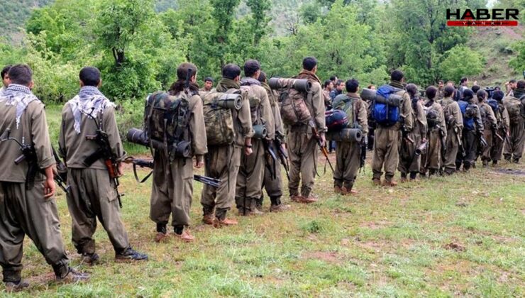Erdoğan'ın eski başdanışmanı: PKK yöneticilerine 'nereye gönderilmek istersiniz?' diye sorulmuş: Çoğu bakın hangi ülkeyi seçmiş?