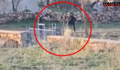 Eşeğin başına çuval geçirdi sopayla eziyet etti!