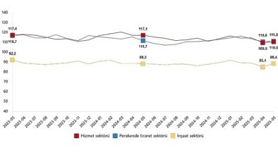 Hizmet, Perakende Ticaret ve İnşaat Güven Endeksleri, Mayıs 2025