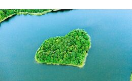 ING’nin iklim hedefleri, Bilimsel Tabanlı Hedefler Girişimi (SBTi) tarafından doğrulandı