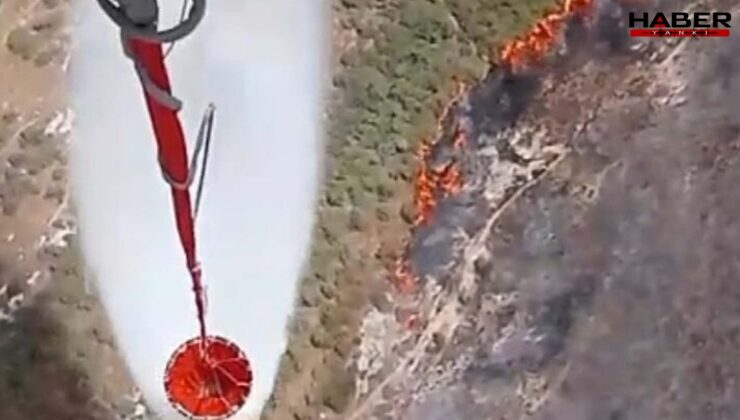 İzmir'de makilik alanda yangın