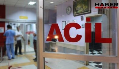 Kamyonet kasasından düşen otel çalışanı felaketi yaşadı