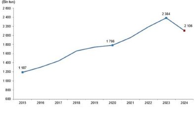 Kırmızı Et Üretim İstatistikleri, 2024