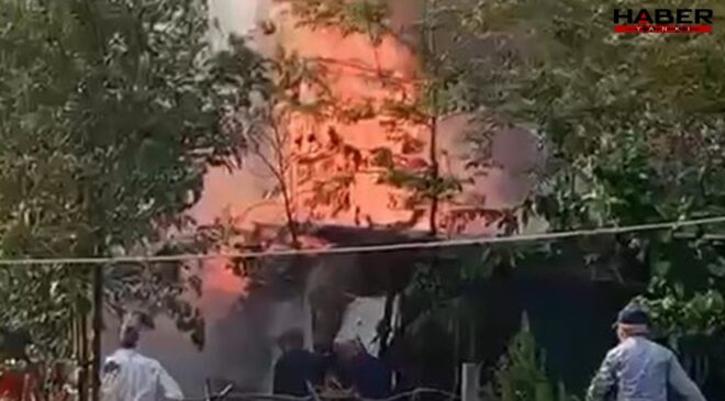 Kocaeli'de odunluk alev alev yandı