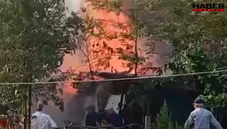 Kocaeli'de odunluk alev alev yandı