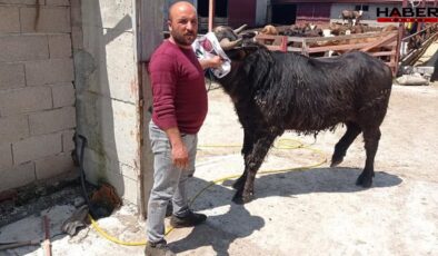 Komşuların arazi kavgası kanlı bitti: 1 ölü