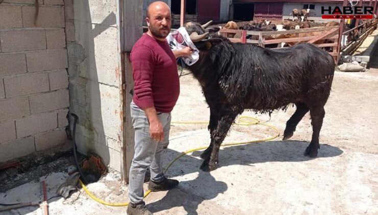Komşuların arazi kavgası kanlı bitti: 1 ölü