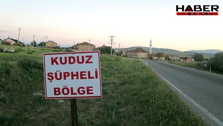Kuduz karantinası başladı, 4 mahalleye giriş-çıkış kapatıldı