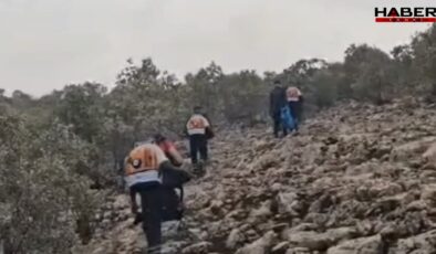 Mardin’de yangın: 40 hektar kül oldu