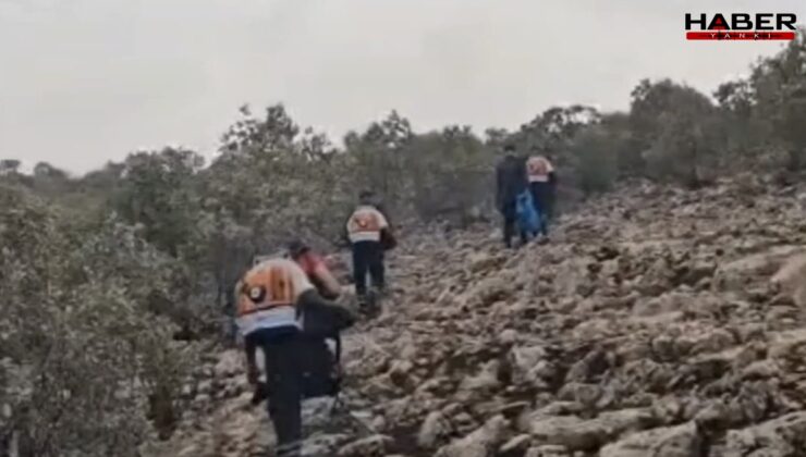 Mardin’de yangın: 40 hektar kül oldu