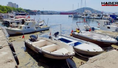 Marmara'da yine ortaya çıktı… Teknelerin etrafını sardı