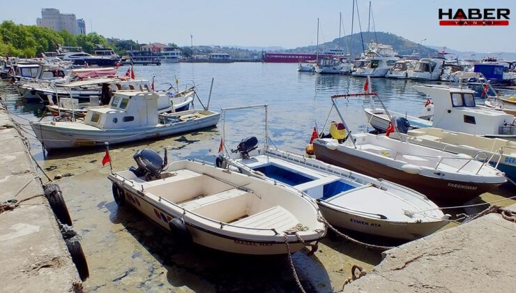 Marmara'da yine ortaya çıktı… Teknelerin etrafını sardı