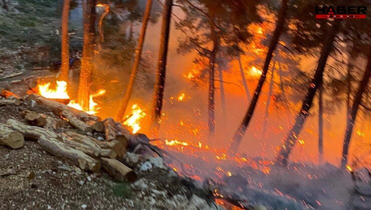 Mersin'de orman yangını: Ekipler seferber oldu