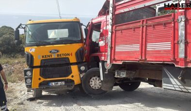 Muğla'da feci son: Beton mikseri ile kamyonun arasında sıkıştı