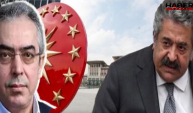 Saray'dan yeni sürece dil uyarısı! 'Türkiye'de Siyasi tutsak yok'