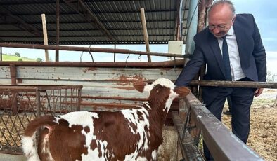 Selendili Üreticilere “Tek Dam Projesi” Anlatıldı