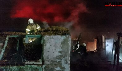 Silivride korkutan yangın: Kısa sürede 15 baraka alev aldı